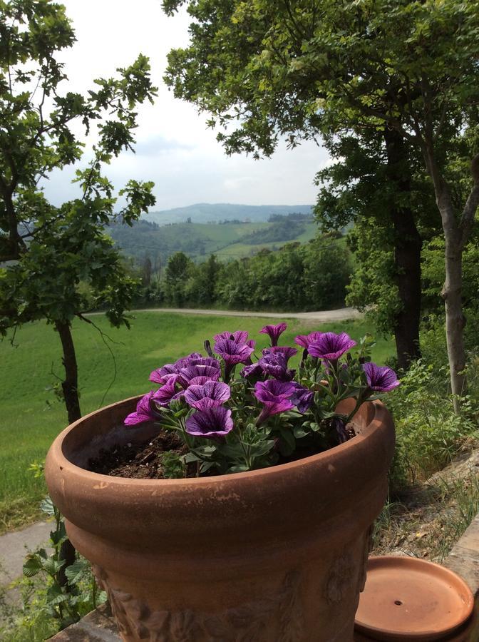 Agriturismo Ca Lunati Hotel Castelletto Mendosio Exterior foto